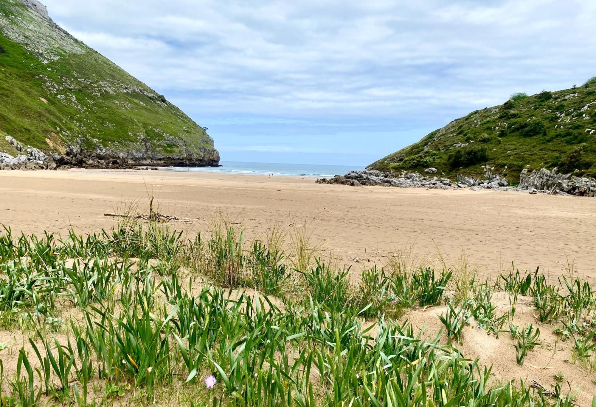 Casa Rural El Pozo Tremeo Sona Eksteriør bilde